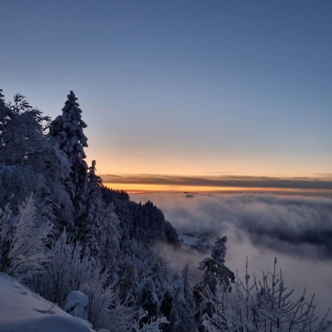Le Montagnard Mijoux Exterior foto